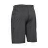 Under Armour Casual Sports Basketball Running Quick-Dry Fitted Shorts Men Shorts Dark-Gray 1253527-090