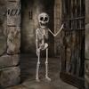 Skeleton with Jointed Limbs Halloween Posable Decoration, 41 Inch Full Body Hanging Human for Movable Joints Party Yard Garden Porch Lawn Haunted