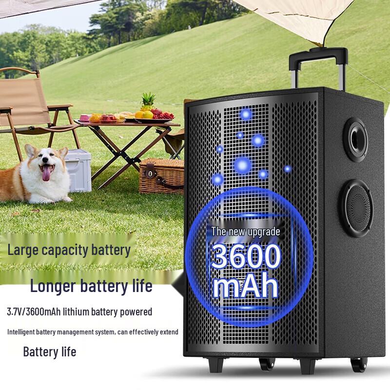 Suoai SA-X72 8-inch Portable Karaoke Speaker with Dual Mics