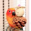 Parrot Natural Pinecone Chew Toy Bird Beak Grinding & Boredom Relief Pine Ornament Bird Cage Decoration  Pet Supplies