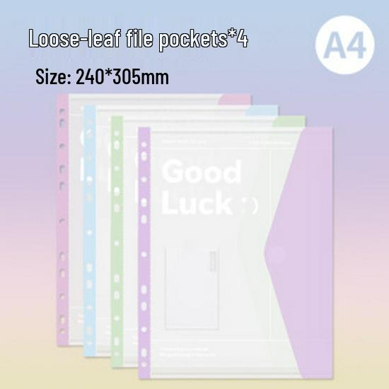 

Thick A4 Ins-Style Loose-Leaf Document Folder with Storage for Test Papers