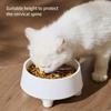New Elevated Pet Food and Water Bowls Raised with Stainless Steel Bowl for Small Dogs Cats Washable Easy To Cleaning Pet Product