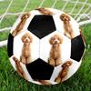 Cute Puppy Indoor Size 5 Soccer Ball Colorful Machine Stitched PVC Competition Ready Durable High-Bounce