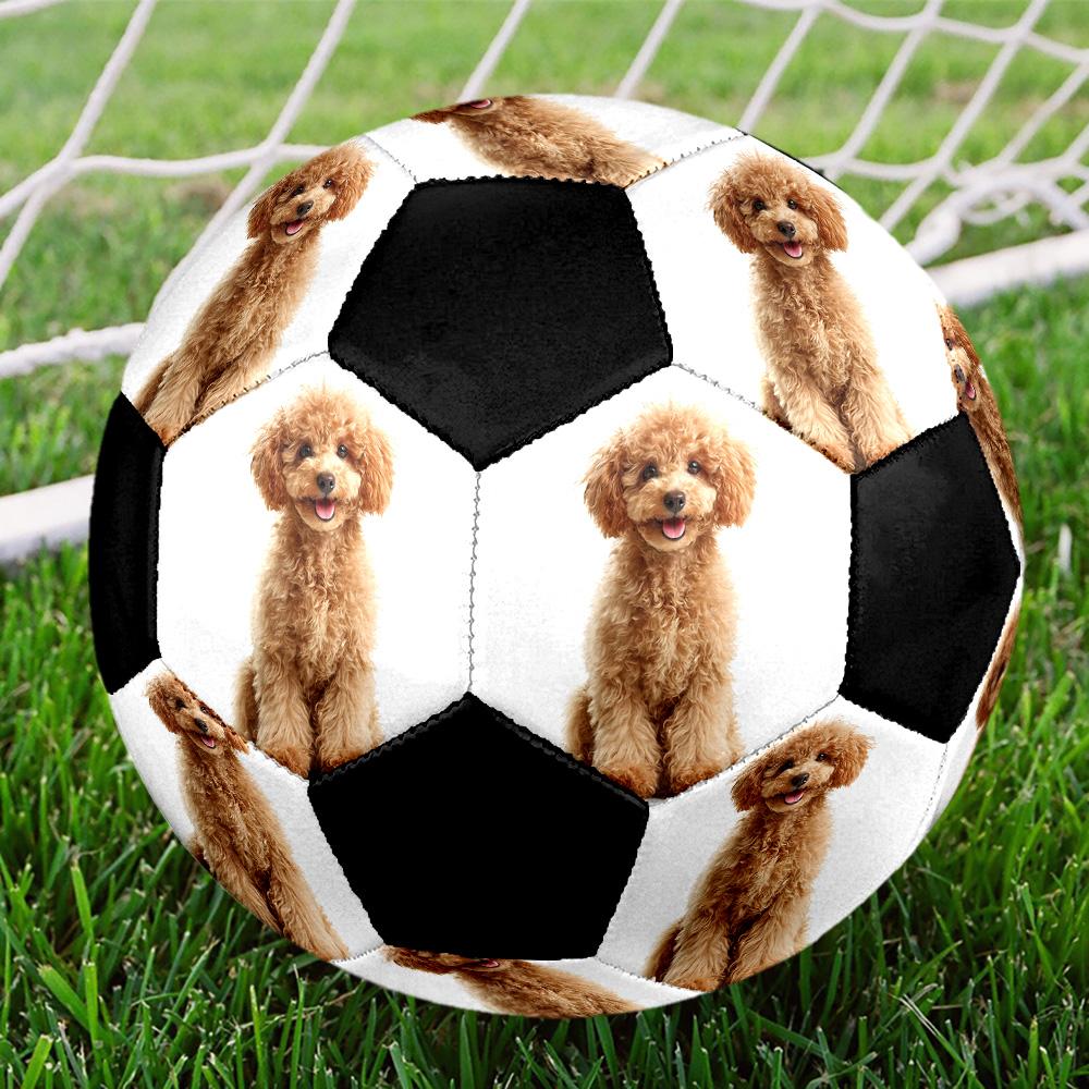 Cute Puppy Indoor Size 5 Soccer Ball Colorful Machine Stitched PVC Competition Ready Durable High-Bounce