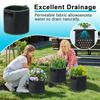 Premium Fabric Grow Bags for Plants, 5 Gallon, Breathable & Durable with Reinforced Handles, Ideal for Indoor & Outdoor Gardening