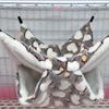 NEW Hammock For Rats Double Thick Plush Warm Bed For Hamster Nest Hanging Hamster House Beds Tr E5N4