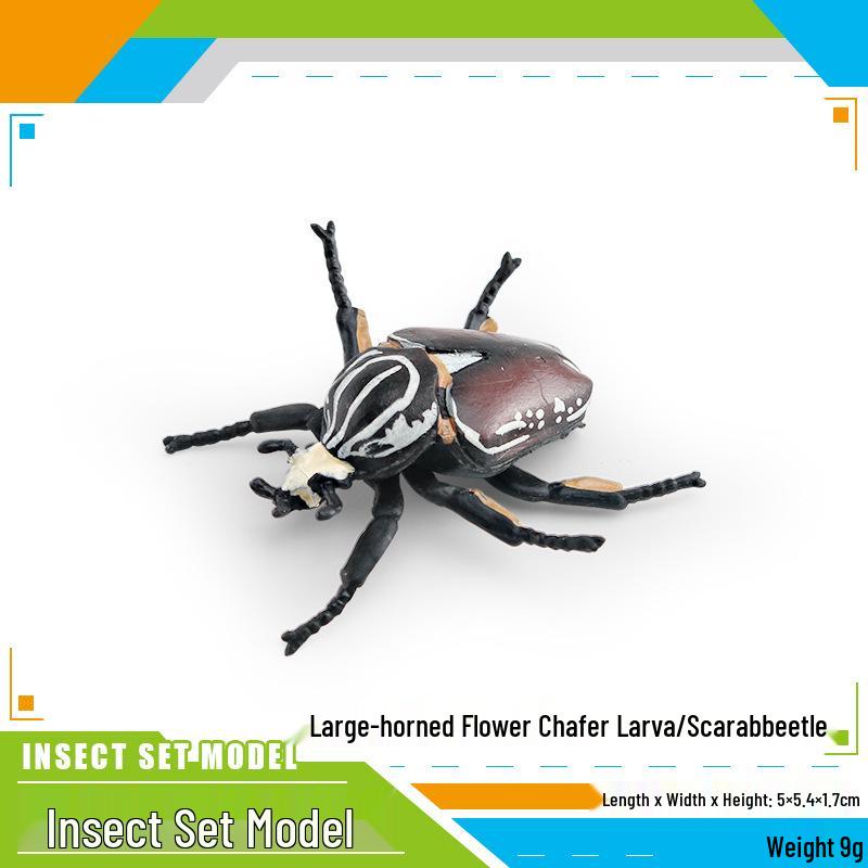 Cross-border Cognitive Simulation: Insect and Beetle Shooting Model for Kids