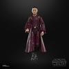 Hasbro Star Wars STAR WARS Black Series Star The Phantom Menace Collection 15 cm Action For ages 4 and up G0025 Genuine Product Padmé Amidala, Wars