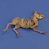 Royal Model Diorama Accessory Donkey Corpse Resin Kit RM1068 1/35 (Scenery)