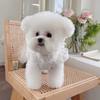 Pet Clothes Spring Summer New Wedding Dress Bow Lace Gown Teddy Bichon Dog Cat