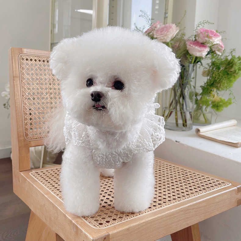 Pet Clothes Spring Summer New Wedding Dress Bow Lace Gown Teddy Bichon Dog Cat