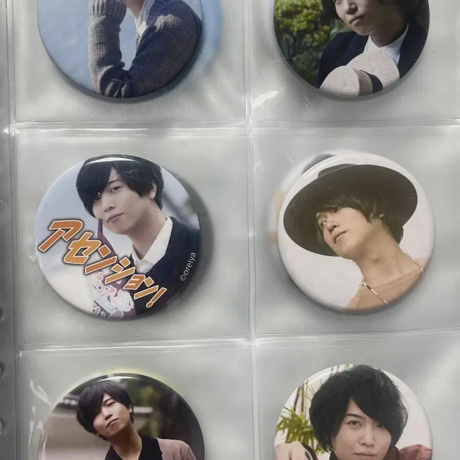 

Saitosoma Kinbadge