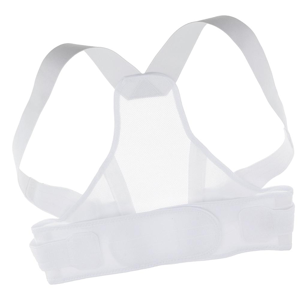 Adult Adjustable Back Shoulder Posture Belt Brace Humpback Support L