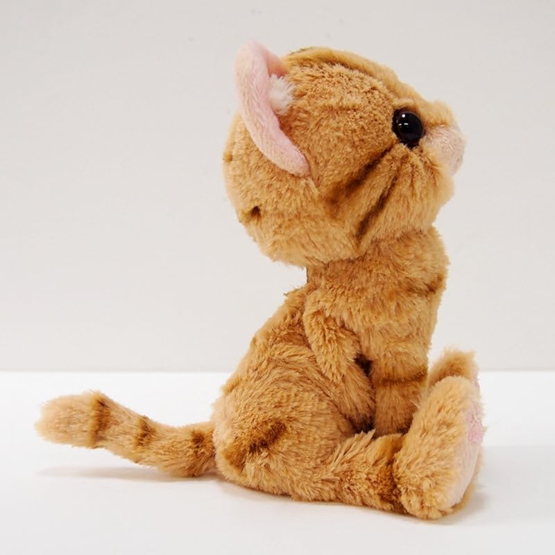 Sun Lemon Kitten American Shorthair Brown Plush Animal Cat P-7531 14.9 X 16.3 X 7.2 Cm