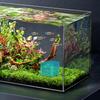 Water Trough Purifier Cube Fish Tank Water Purifier Cube Charcoal Deodorizer Filtration Aid For Freshwater Saltwater