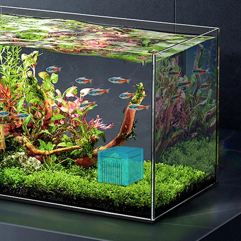 Water Trough Purifier Cube Fish Tank Water Purifier Cube Charcoal Deodorizer Filtration Aid For Freshwater Saltwater