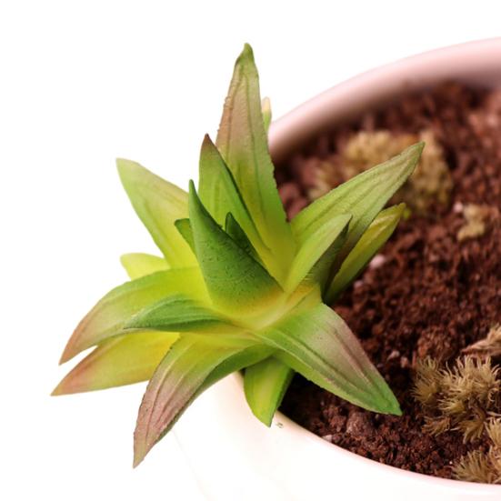 Mini Künstliche Sukkulenten Realistische Fake Kleine Kakteen Pflanzen Bunte Kunststoffe Beflockte Topflose Pflanzen für Garten Blumentopf Küche Heimdeko