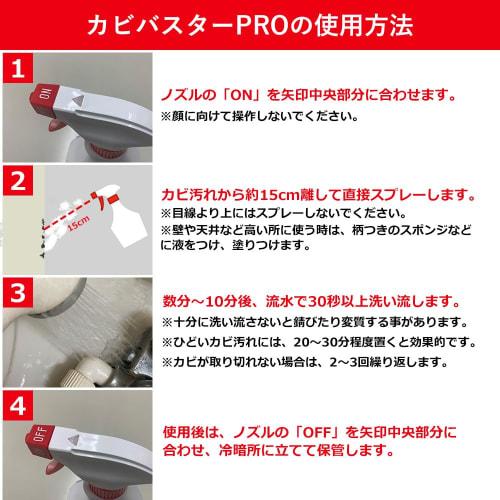 Souma PALCCOAT Mold Buster PRO 300ml, a Powerful, Highly Concentrated Foam Mold Remover for Professional Use (bathroom, Rubber Seals, Wallpaper)