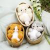 Süßes Waschbär-Stofftier Panda Kuscheltier Puppe Weiches Kreatives Geschenk für Hundebett