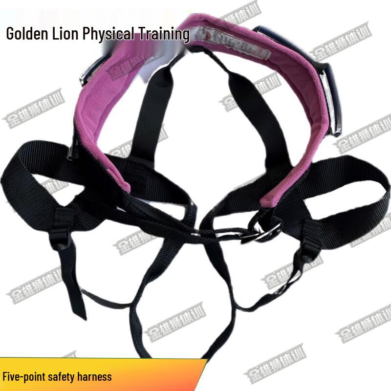 Outdoor Climbing and Work Safety Harness