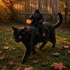 Halloweenské oblečení pro mazlíčky Kostým bezhlavého jezdce pro kočku, 3D vtipný kostým jezdce pro mazlíčka s dýňovým lucernou, Nastavitelný postroj pro malé psy