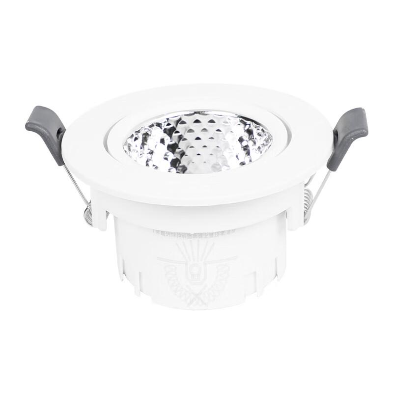 FSL JDI LED COB Ceiling Spotlight