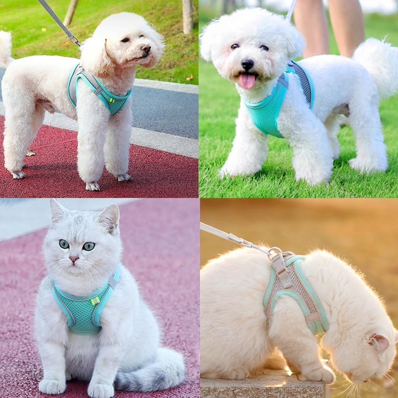 Cat Harness Leash Set Escape Proof Reflective Harness Vest For Cat Small Dog Breathable Puppy Walking Lead Leash Pet Accessories