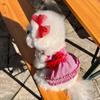 Christmas New Dog Dress Winter Denim Striped Pet Skirt Small Medium Princess Costume