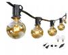 Garden Garland 25 Large Bulbs Freebies Beautiful