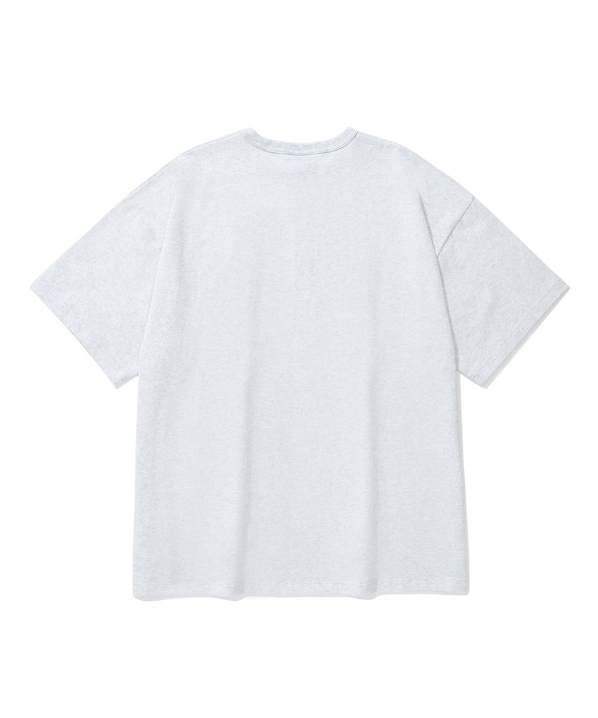 COLUMBIA UNIVERSITY Crack Logo S/S T-Shirts L Grey
