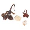 4 Stück Simulations-Tiermodell Simulations-Echsenwachstumsornament Kinder Kognitiver Wachstumszyklus