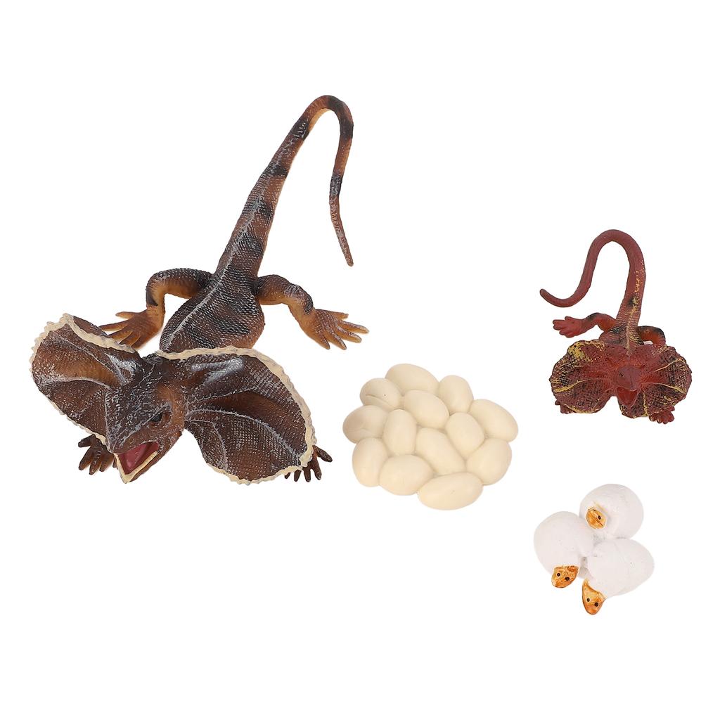 4 Stück Simulations-Tiermodell Simulations-Echsenwachstumsornament Kinder Kognitiver Wachstumszyklus