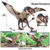 Cognitive Large Stegosaurus Solid Dinosaur Toy: Jurassic Simulation Animal Figure for Kids