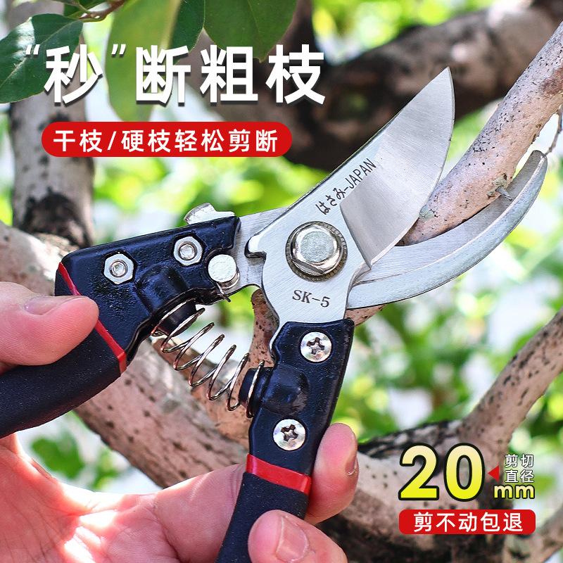 Gartenschere, Edelstahlschere, Grobe Astschere, Rebschere, Verdichtungsschere