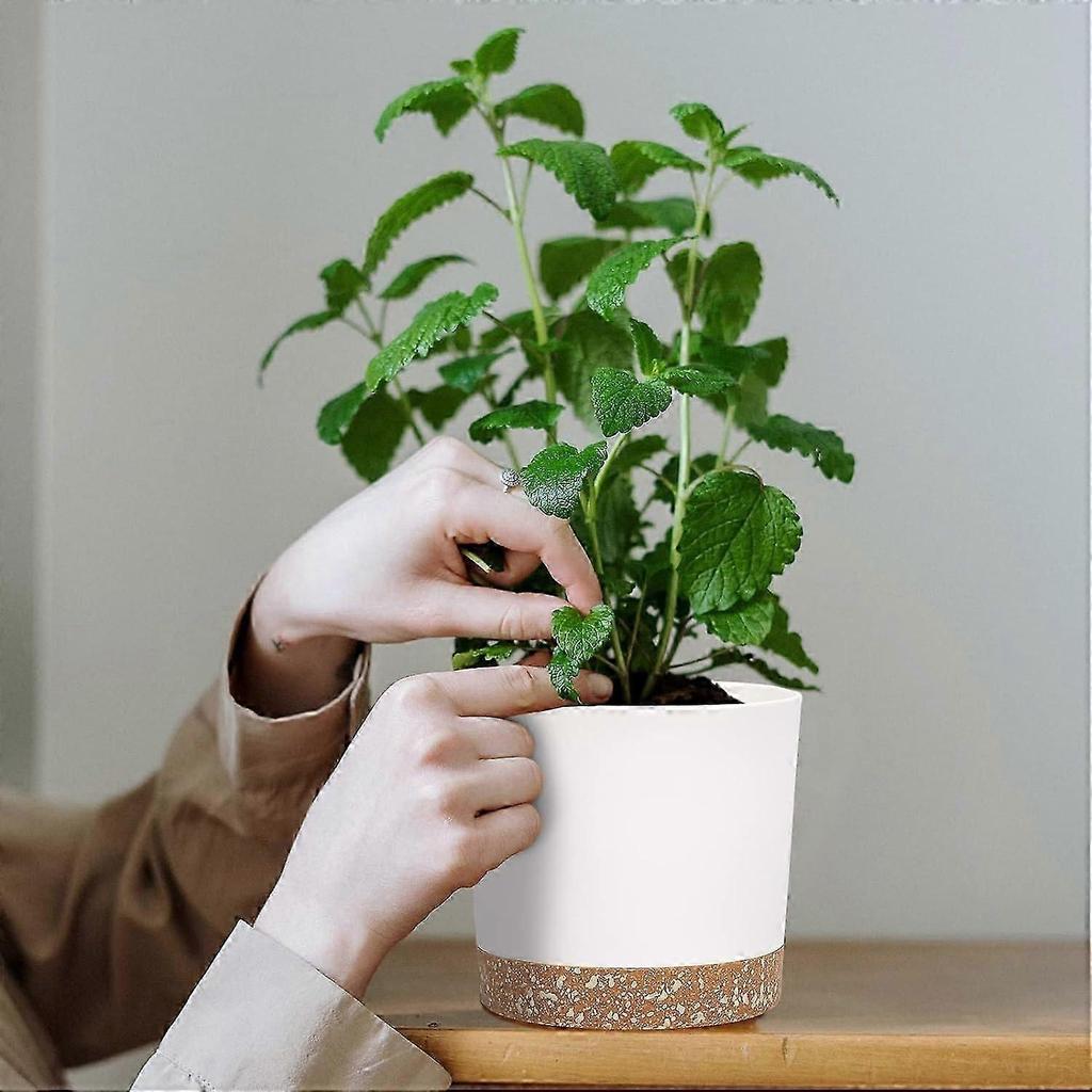 Set of 2 Plant Pots 12cm, Indoor Plant Pots with Drainage Holes and Removable Base, Modern Decorative Saucer for Outdoor Planters (White 12cm)