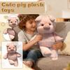 Weiches Plüschschwein Stofftier Spielzeug 45cm Größe Niedliches sitzendes Ferkel Design Leichtes Stoffmaterial für Kinder und Sammler