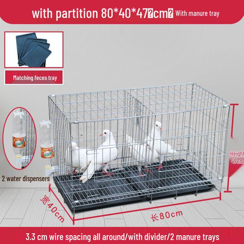 Large Pigeon Cage for Breeding & Pairing with Free Shipping - Ideal for Household Use