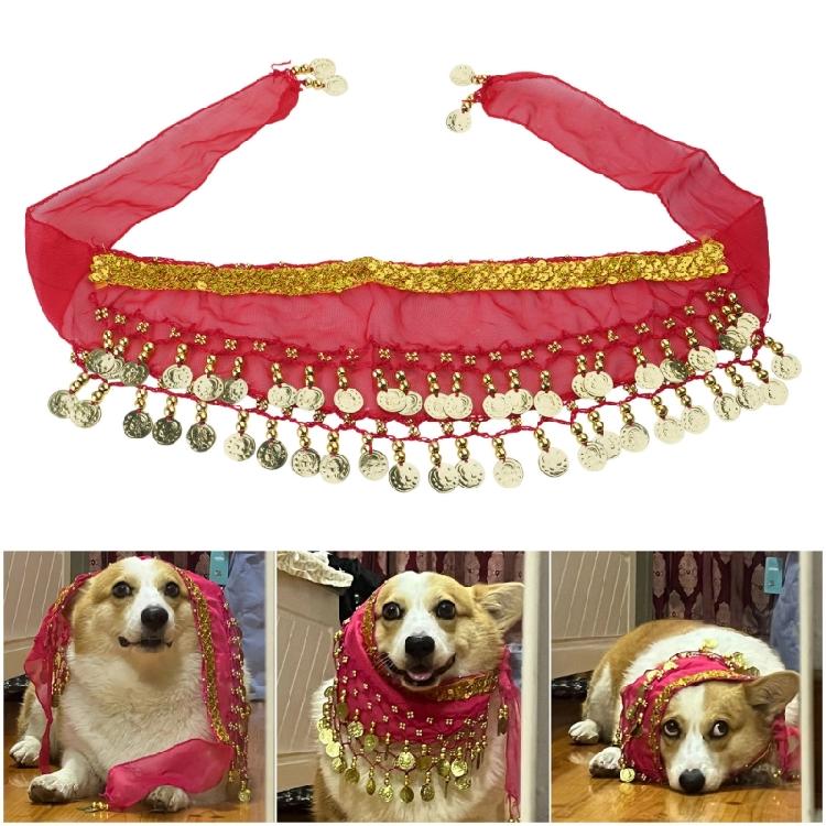 Glittering Corgy Party Belly Dance Skirt Sparkling Sequined Belly Dancing Costume Adjustable Belly Dance Dog Costume