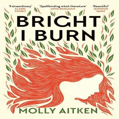 Bright I Burn by Molly Aitken Paperback Book 9781786898371