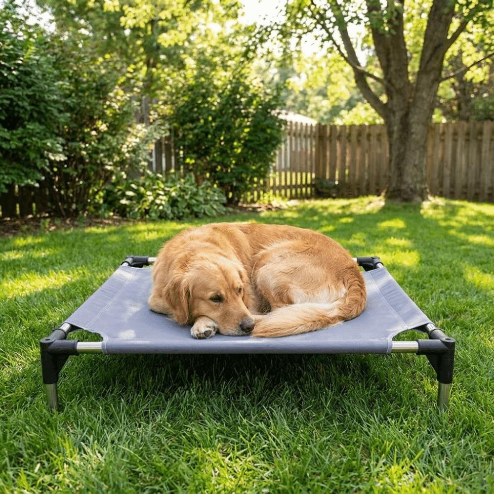 Chew Proof Cooling Raised Pet Cot Metal Frame Elastic Pet Bed Portable Dog Cot Bed House
