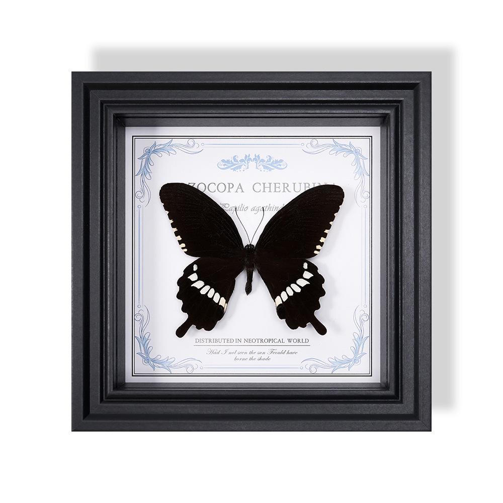 Wall-Mounted Butterfly Specimen Photo Frame: Home Decor & Gift for Valentine's Day, Qixi, Birthday, Couples & Insect Lovers