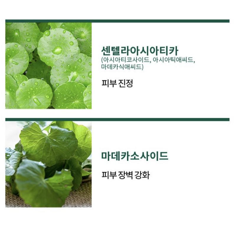 MISSHA Cicadin Mildly Acidic Blemish Cleansing Bubble Foam 250ml