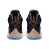 Nike LeBron 13 Ext Luxbron 823300-941