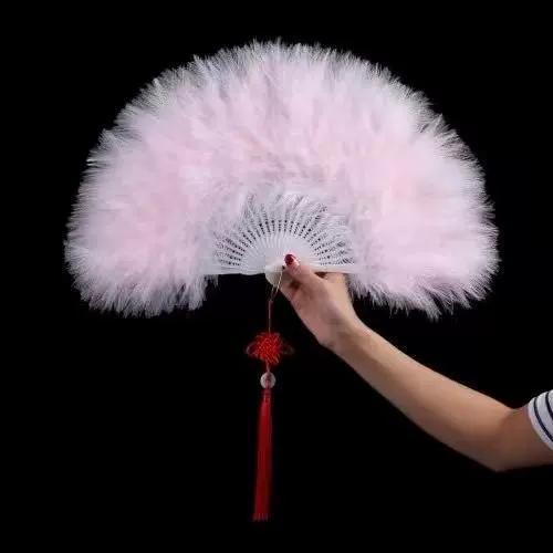Internet-Famous Feather Fan, Fully Velvet Thickened, Standard Fairy-Like Cheongsam, Catwalk, Children's Stage Performance Dance Fan