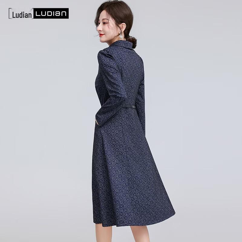 LUDIan Women's Printed A-Line Long Sleeve Dress