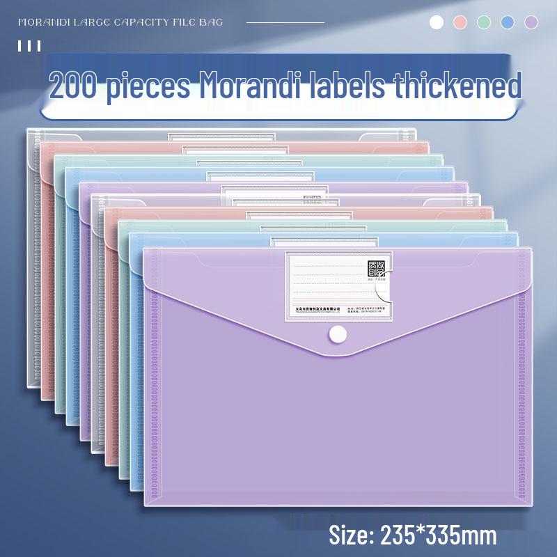 Transparent Large Capacity Snap Button File Bag for Students