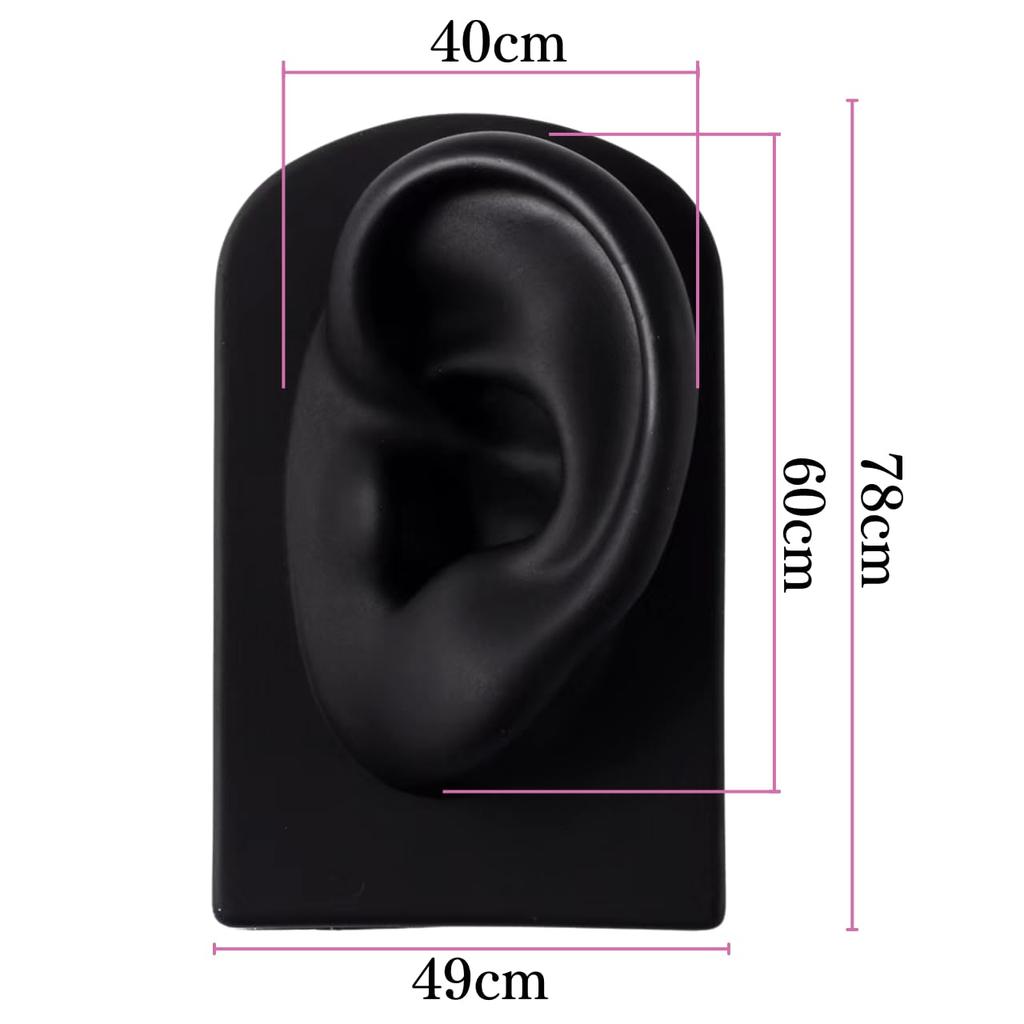 Silicone Ear Shape Model for Drawing, Fake Earrings, Left and Right Set, Accessories for Both Ears, Ear Hair, Earring Decorations, Earring Practice, E