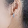 Earrings With Statement Microinlaid Zircon Stones For Both Men Women And