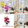 Butterfly Orchid Faux Flower Potted Plant With Silk Fabric Material For Indoor Decoration And Events