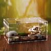 Reptiles Feeding Box Breeding Cases Portable Acrylic Terrarium Clear Insect Habitat for Mini Lizards Pet Centipedes